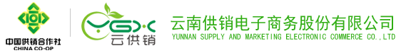 金年金字招牌诚信至上电子商务股份有限公司